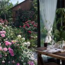 수원천로428번길 이미지