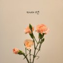 블라썸플라워