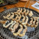 영산강장어 | 🔥강서구 장어 맛집 ‘영산강참숯민물장어’ 솔직 후기🐟