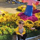 😄즐거운가을소풍- 평화공원(국화꽃축제)~💕 이미지