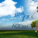 에이스 스크린골프 이미지