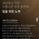 잠실 피부관리. 인셀덤 강남송파점에서 기초부터 제대로