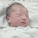 [20250514] 퇴소 전 날 조리원생활 기록