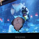 코엑스아쿠아리움 이미지