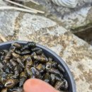 싸리골민박 이미지