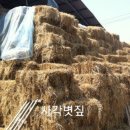 늘푸른산업 이미지