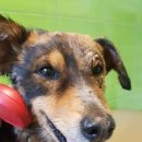 이진성형외과의원 이미지