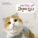 행복한집사 이미지