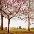 H-self CAR WASH 이미지