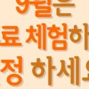 상남동211 이미지