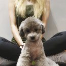 제로몬