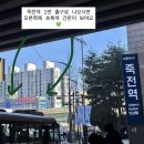 리버동물의료센터 | 용인 죽전 동물병원 추천 | 소리동물의료센터 진료 후기