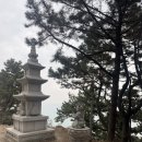 백련사 | 부산 용호동 백련사 후기｜100억번 절로 유명해진곳