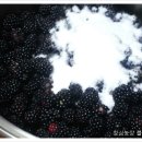 블랙베리효소 효능 이미지