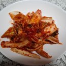 김치를담아내는시인