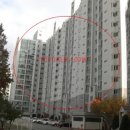 지에스25  안성대덕점 이미지