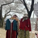 2024 아름다운 월영교와 벚꽃이 함께했던 [월영장터] 후기