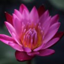 태기농장 이미지