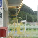 앨리스코리아켄넬 이미지