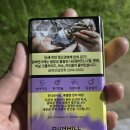 던힐 | 던힐 신상 던힐 뉴욕 에디션