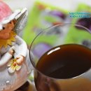 수아농산물판매 | 양파즙추천 충남 당진에서 직접 4천평 농사를 짓는 젊은 농군이 보낸 무농약양파즙
