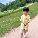 한반도면옹정리마을회 | 아이와 함께 영월 여행 후기 (feat.단종의 흔적 만나기, 한국지리책과 만나기)