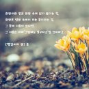 잉글리시아이삼산학원