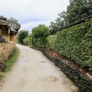 살구나무한옥민박 네이버블로그
