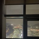 [수술 후기] 맹장 수술 후기 - 1년이 지난 지금
