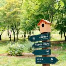 유니스의정원 보타닉하우스 이미지