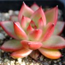 송정하우스 이미지