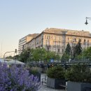 취미교실 | 엽서 제작 후기_집구석 취미교실!!(내돈내산)