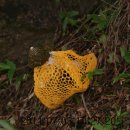 한실한의원 이미지