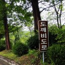 문경대도깨비도로 네이버블로그