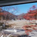 보림사주차장 이미지