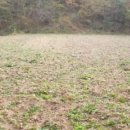 형산리 마을회관 이미지