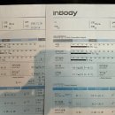 가오짐 피티샵 | [상암동 PT 세븐짐] 피티 체험 솔직 후기 — PT샵 vs 헬스장 선택 기준 총정리