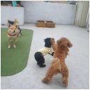 베스트유치원 이미지