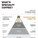 만랩커피동탄