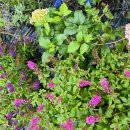 봉덕농장 이미지