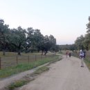 신통목장 이미지