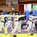 늘품태권도 이미지