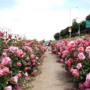 중화1동공영주차장 이미지