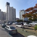 골목흙돼지