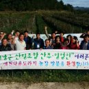 산주농장 Daum카페