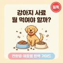 인의축산 | 강아지 사료 뭘 먹여야 할까? 연령별·체중별 실제 급여 비교 총정리