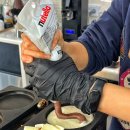 해피유머리스트