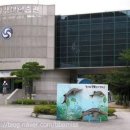 민물고기연구소생태학습관 네이버블로그
