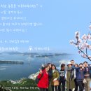 암태중학교 이미지