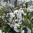 사과시험장 앞 이미지